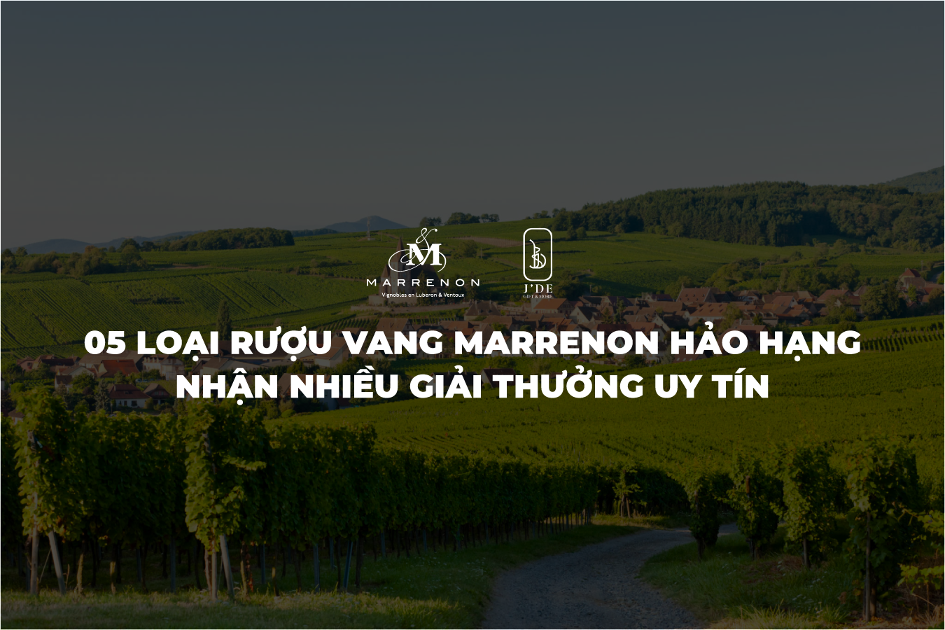 05 loại rượu vang Marrenon hảo hạng đã nhận được nhiều giải thưởng uy tín về rượu vang