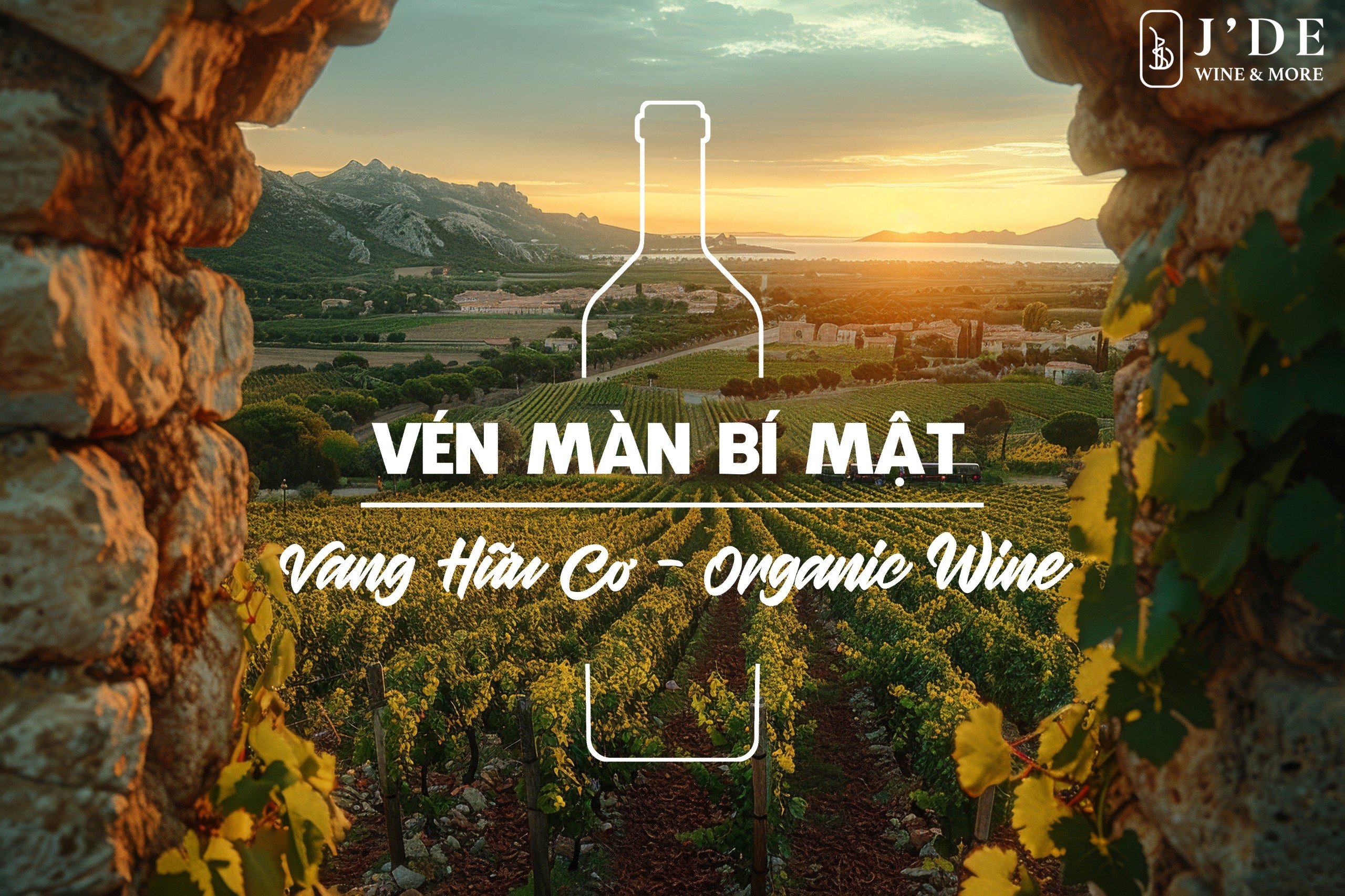 Vén màn bí mật “Vang Hữu cơ - Organic Wine”