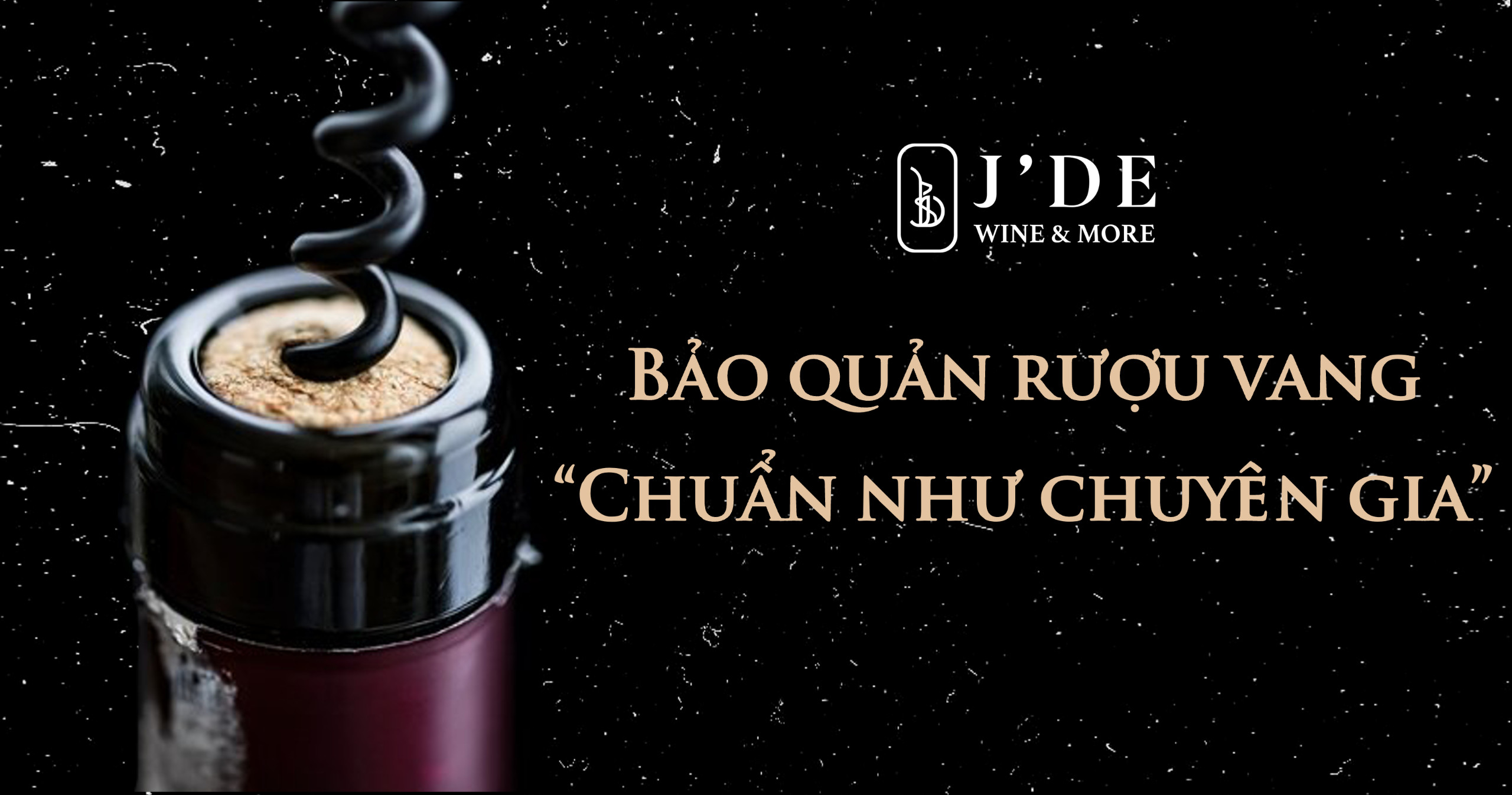 Bảo Quản Rượu Vang Chuẩn Như Chuyên Gia