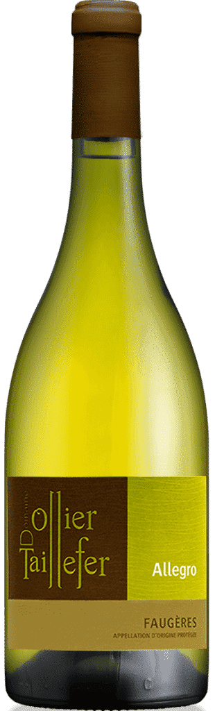 Domaine Ollier Taillefer - Allegro - Faugères Blanc